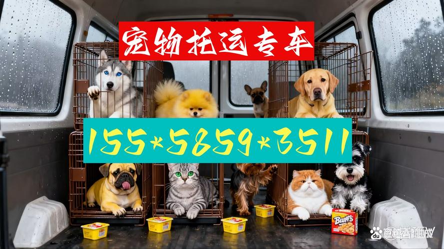 隨著越來越多家庭將寵物視為重要成員,安全,便捷的寵物托運(yùn)服務(wù)成為