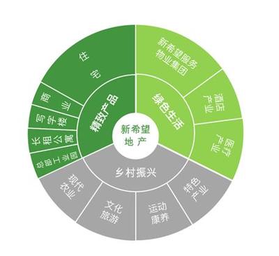 重磅丨新希望地產榮膺“2020中國房地產開發企業品牌價值”西南第一